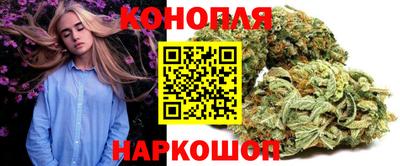 крисы Сланцы
