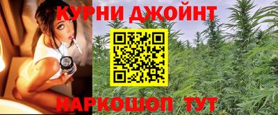 ГАЛЛЮЦИНОГЕННЫЕ ГРИБЫ Славгород