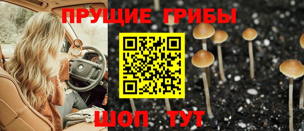 Галлюциногенные грибы Psilocybe  Вход с VPN  дарнет шоп  Галлюциногенные грибы Cubensis  Новоалександровск 