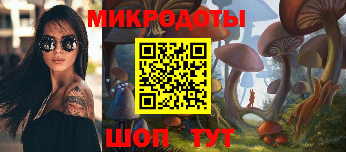 Псилоцибиновые грибы Psilocybine cubensis Новоалександровск